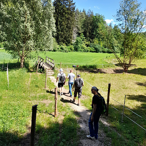 fohlenhaus_wandern.jpg